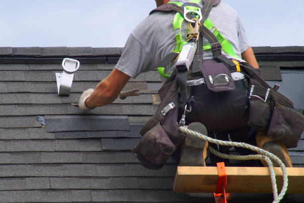 Best Roofing Contractor Near Me  in Shields, MI