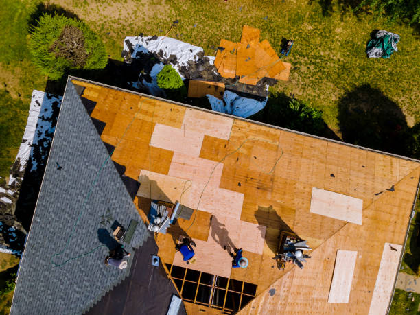 Best Roof Restoration Services  in Shields, MI