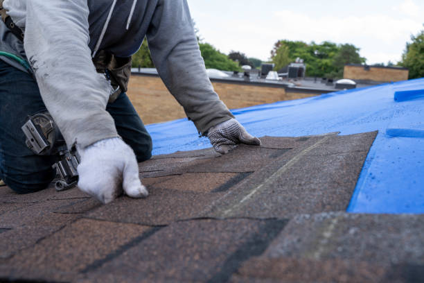 Best Residential Roofing Contractor  in Shields, MI