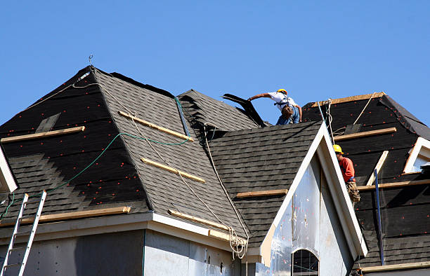 Best Metal Roofing Contractor  in Shields, MI