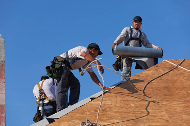 Best Storm Damage Roof Repair  in Shields, MI